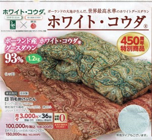 2016年秋ﾁﾗｼ